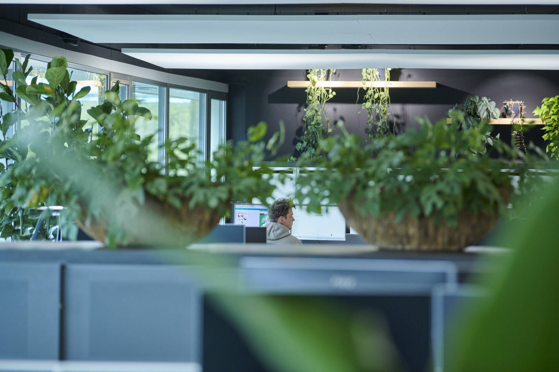 TRILUX Lightcampus
