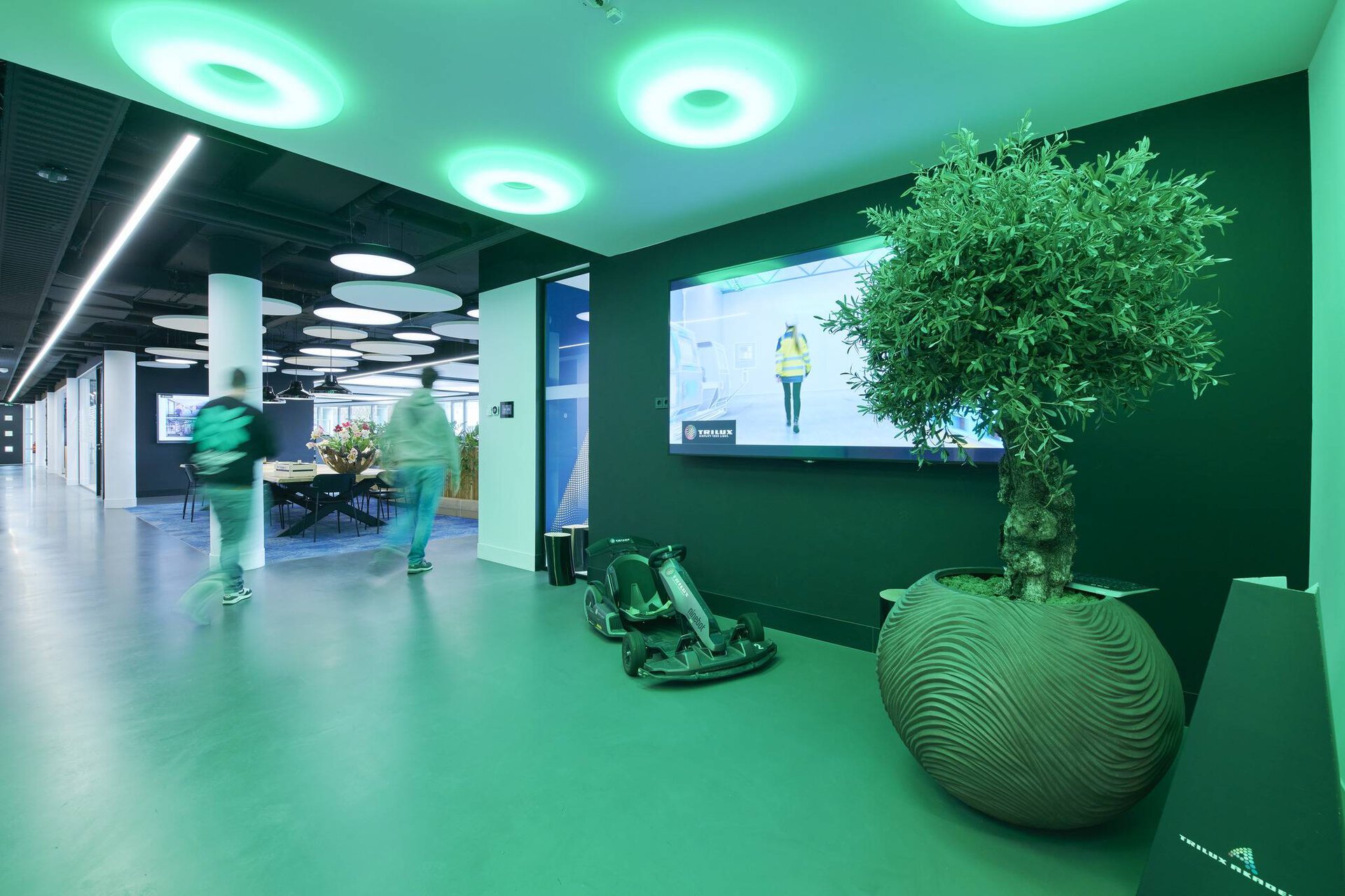 TRILUX Lightcampus