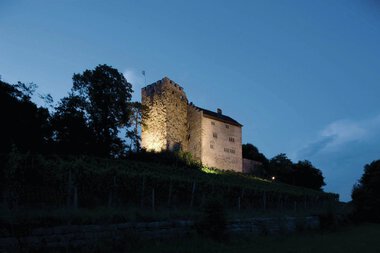 Schloss Habsburg