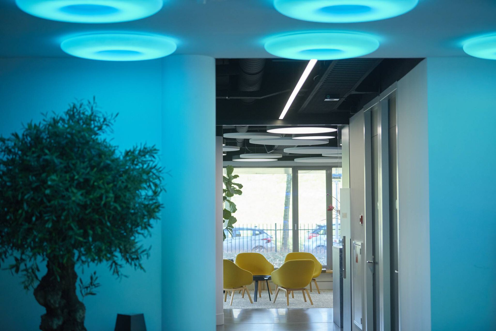 TRILUX Lightcampus