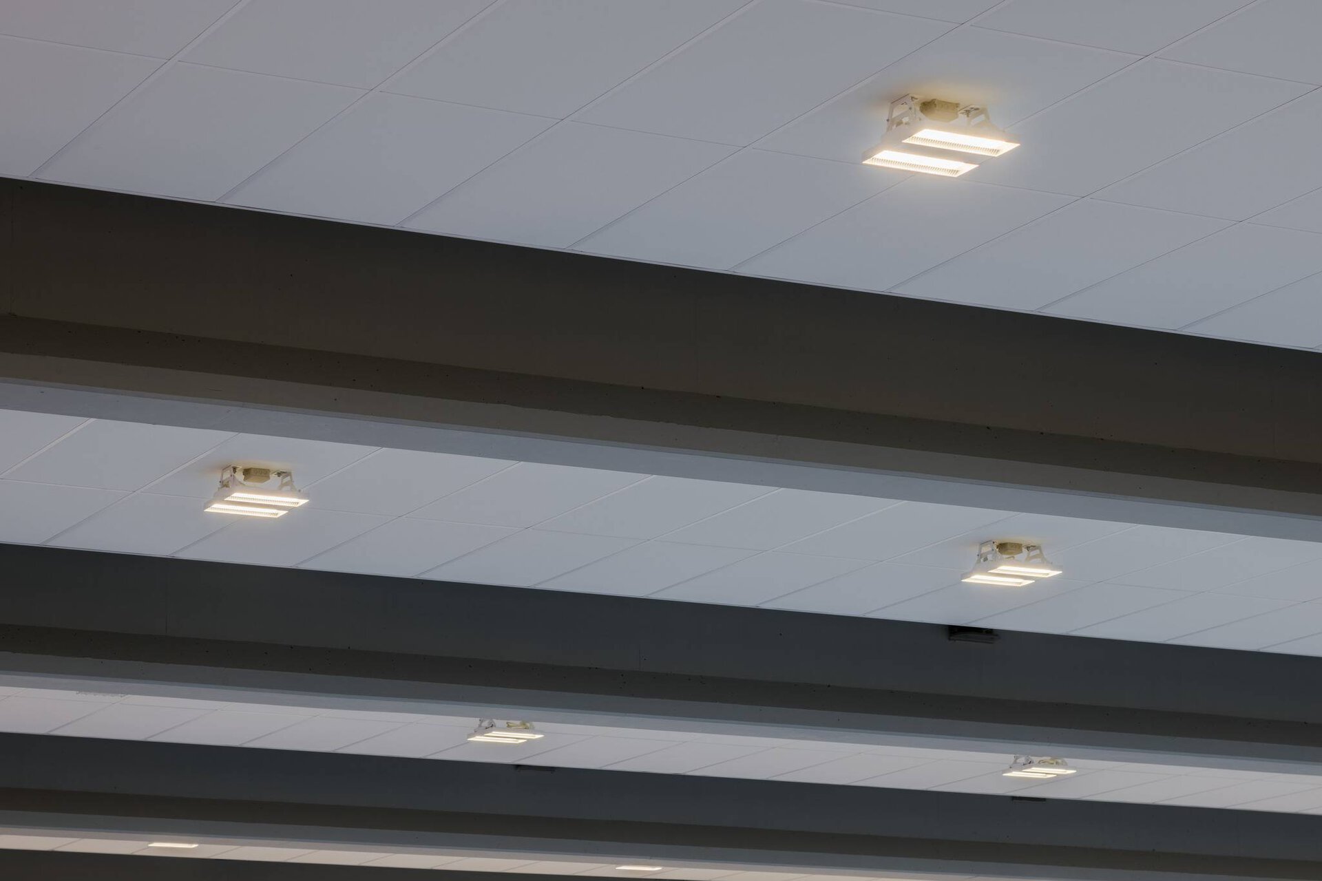 Sport Hall Krakow