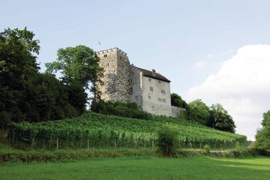 Schloss Habsburg