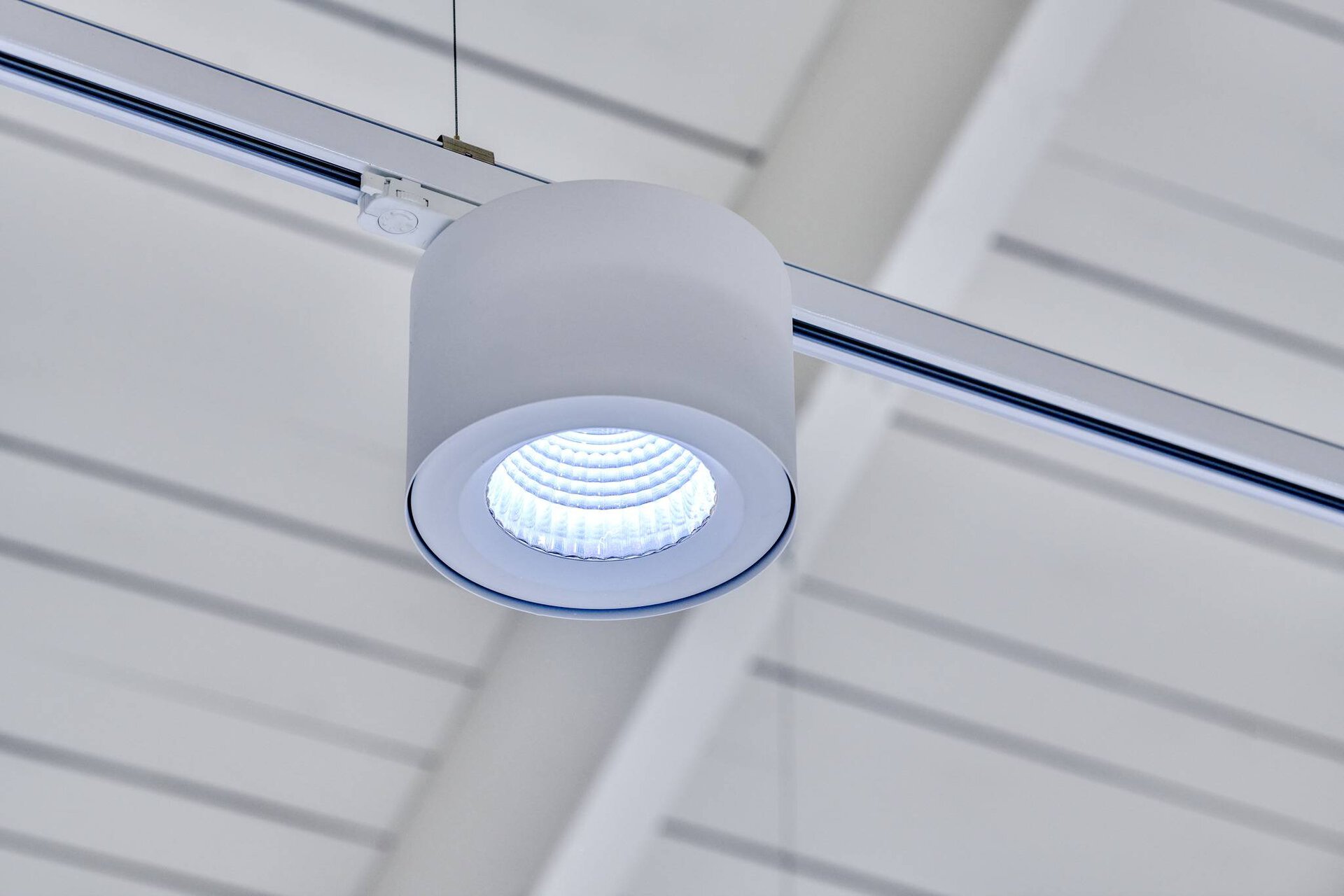 Center Parcs De Vossemeren