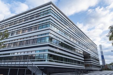 Deutsches Elektronen-Synchrotron DESY