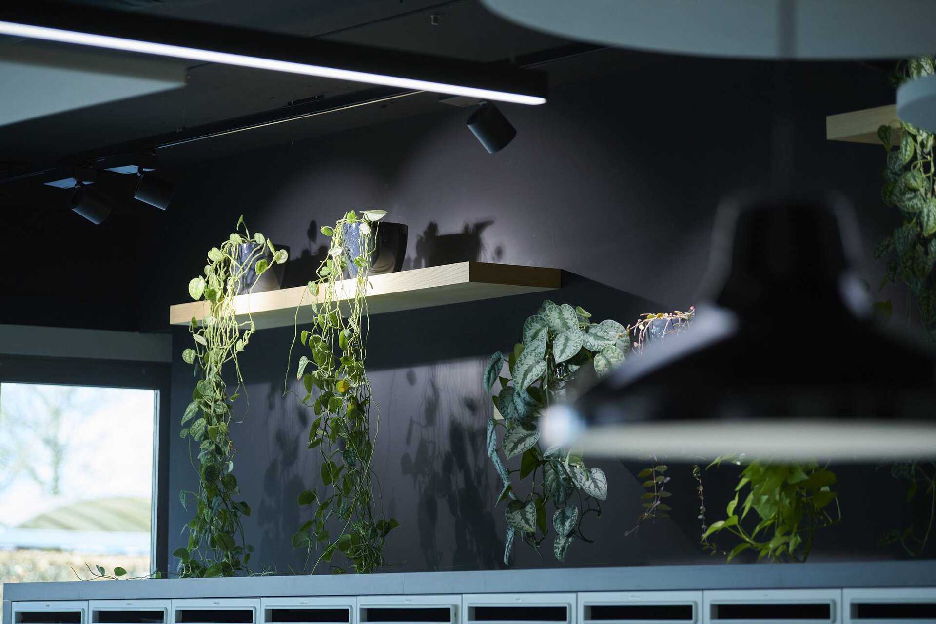 TRILUX Lightcampus