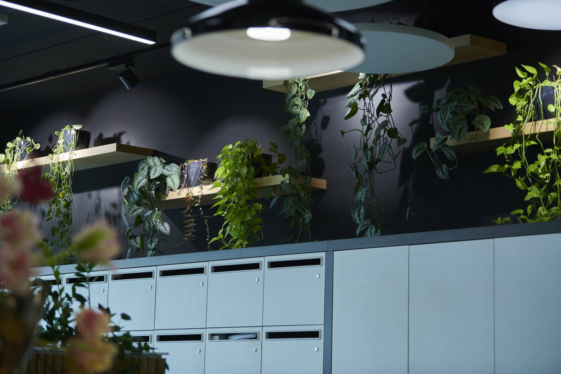 TRILUX Lightcampus