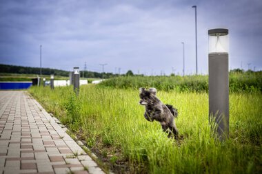 Tank & Rast Kassel-Ost